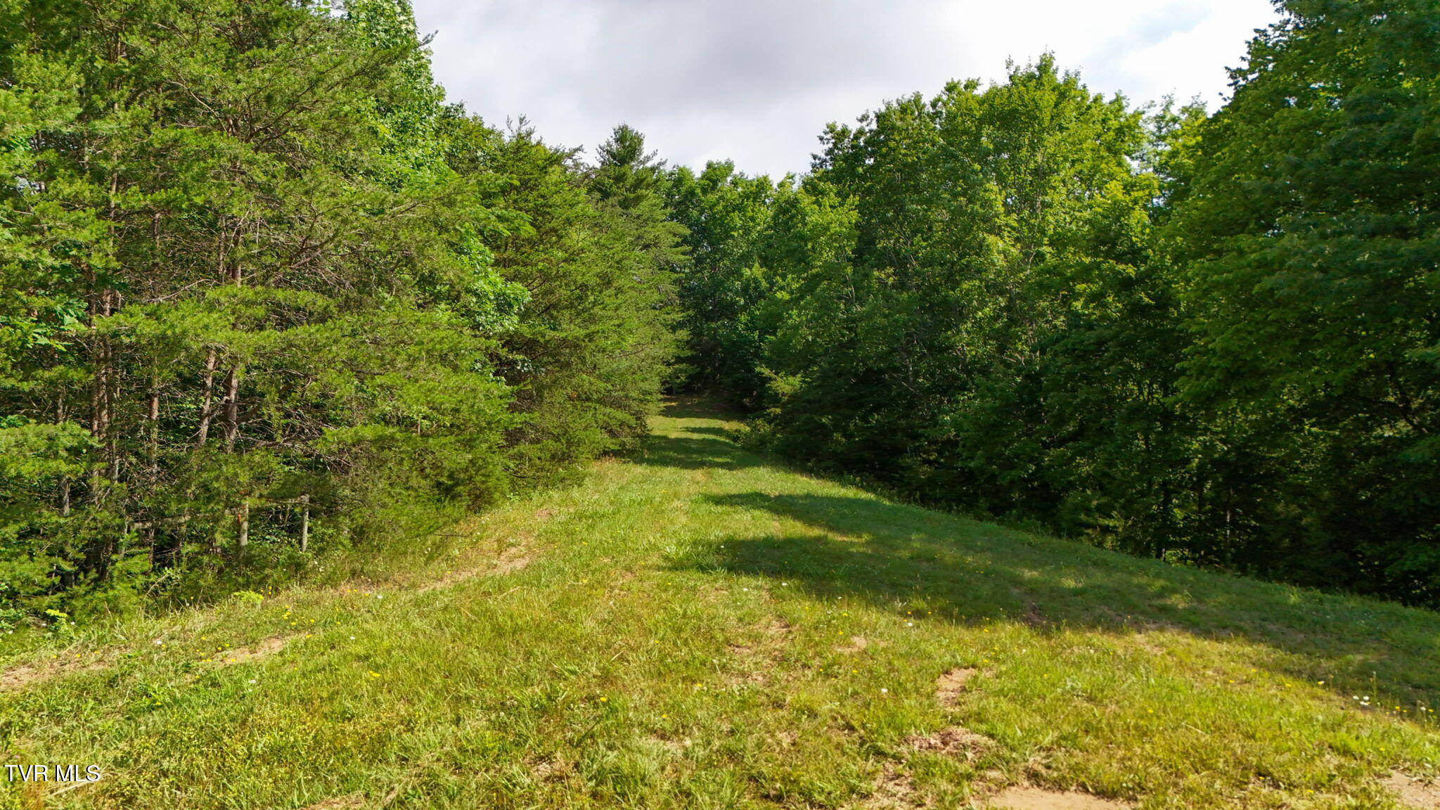 2523 Denton Valley Road, Unit 2 Bristol, TN 37620 - Photo 27 of 44 27