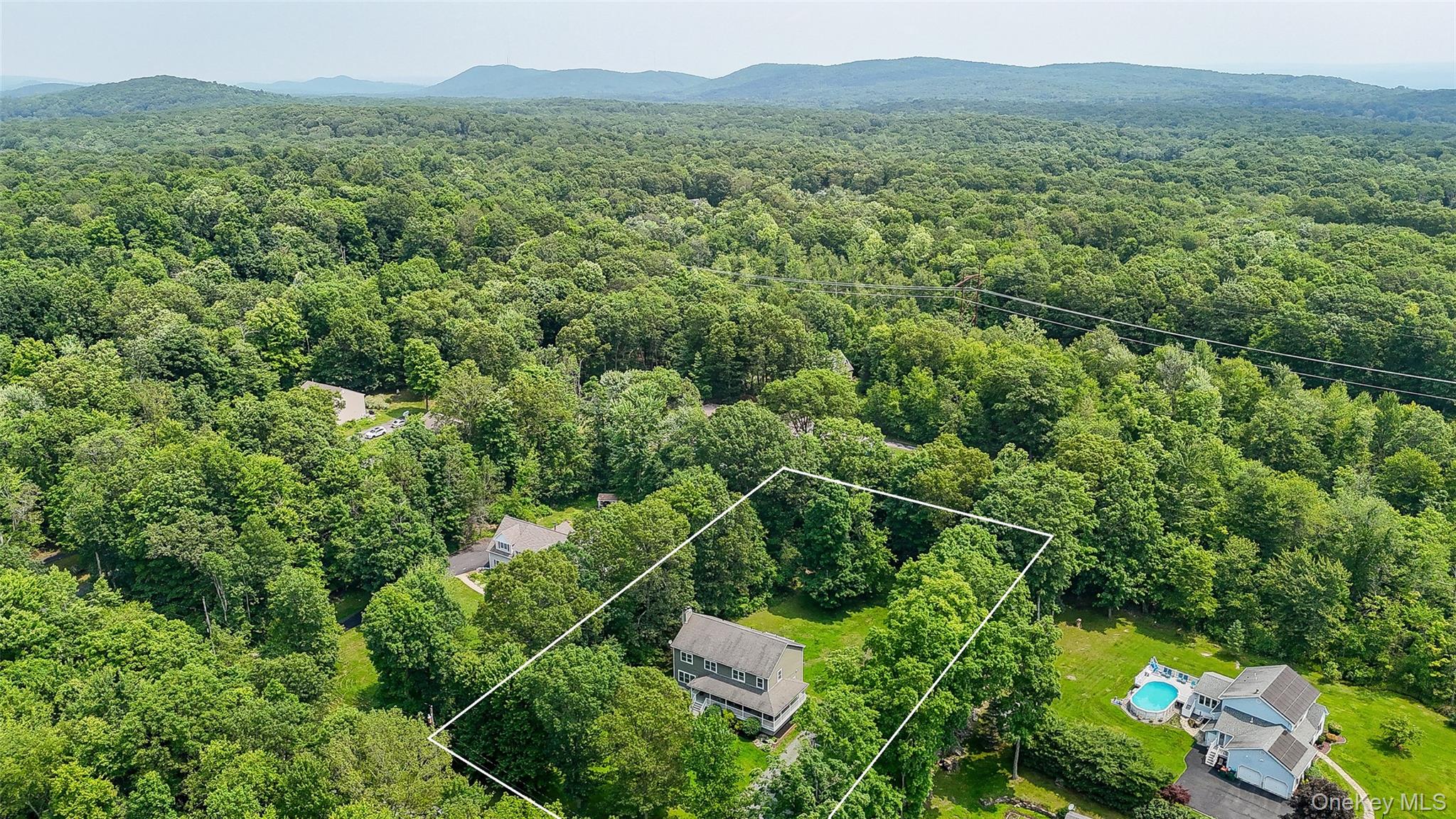 221 Rabbit Run Road Clintondale, NY 12515 - Photo 3 of 50 a view of a lush green forest with a house