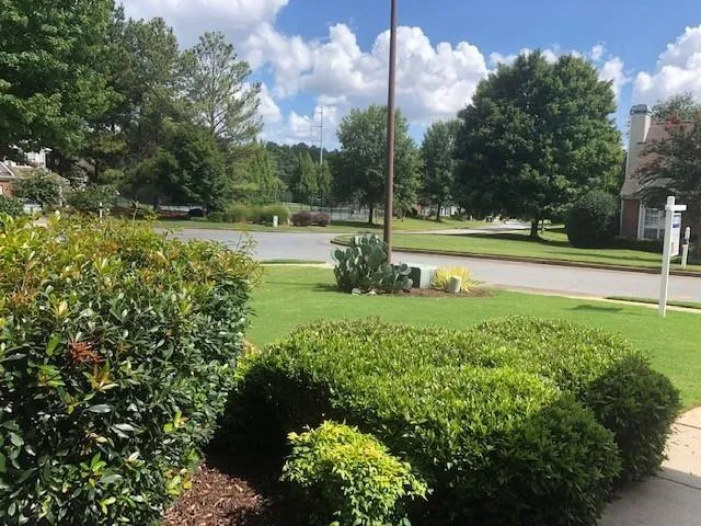 a view of a park with large trees