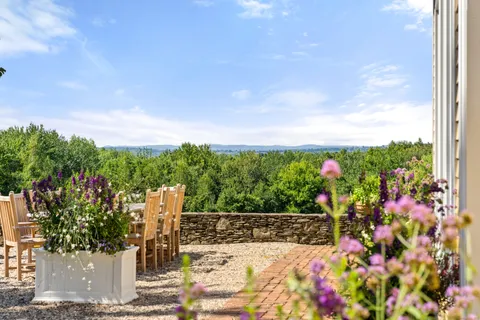 a view of a potted flower in a yard next to a building