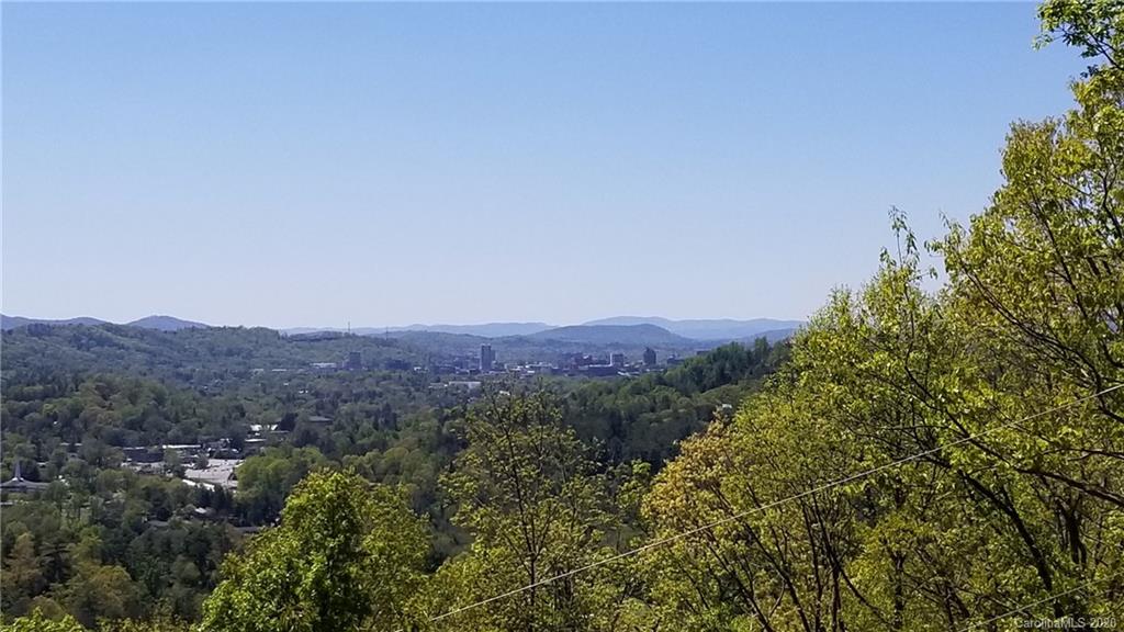 36 Beaverbrook Road Asheville, NC 28804 - Photo 22 of 23 Gallery Image 22