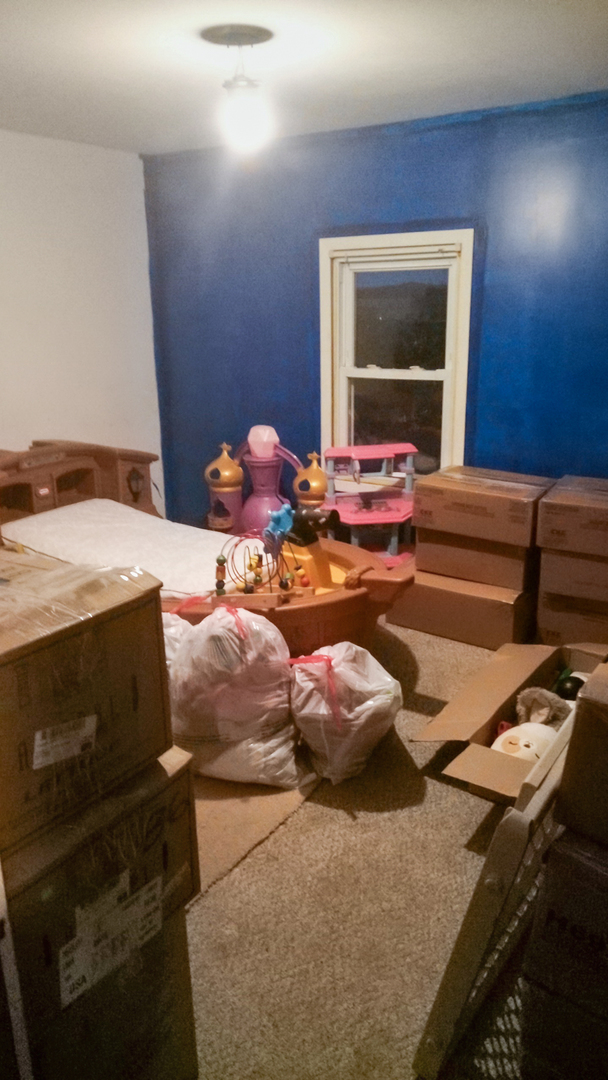 205 Shellhammer Street Harmon, IL 61042 - Photo 8 of 9 a bedroom with furniture and a window