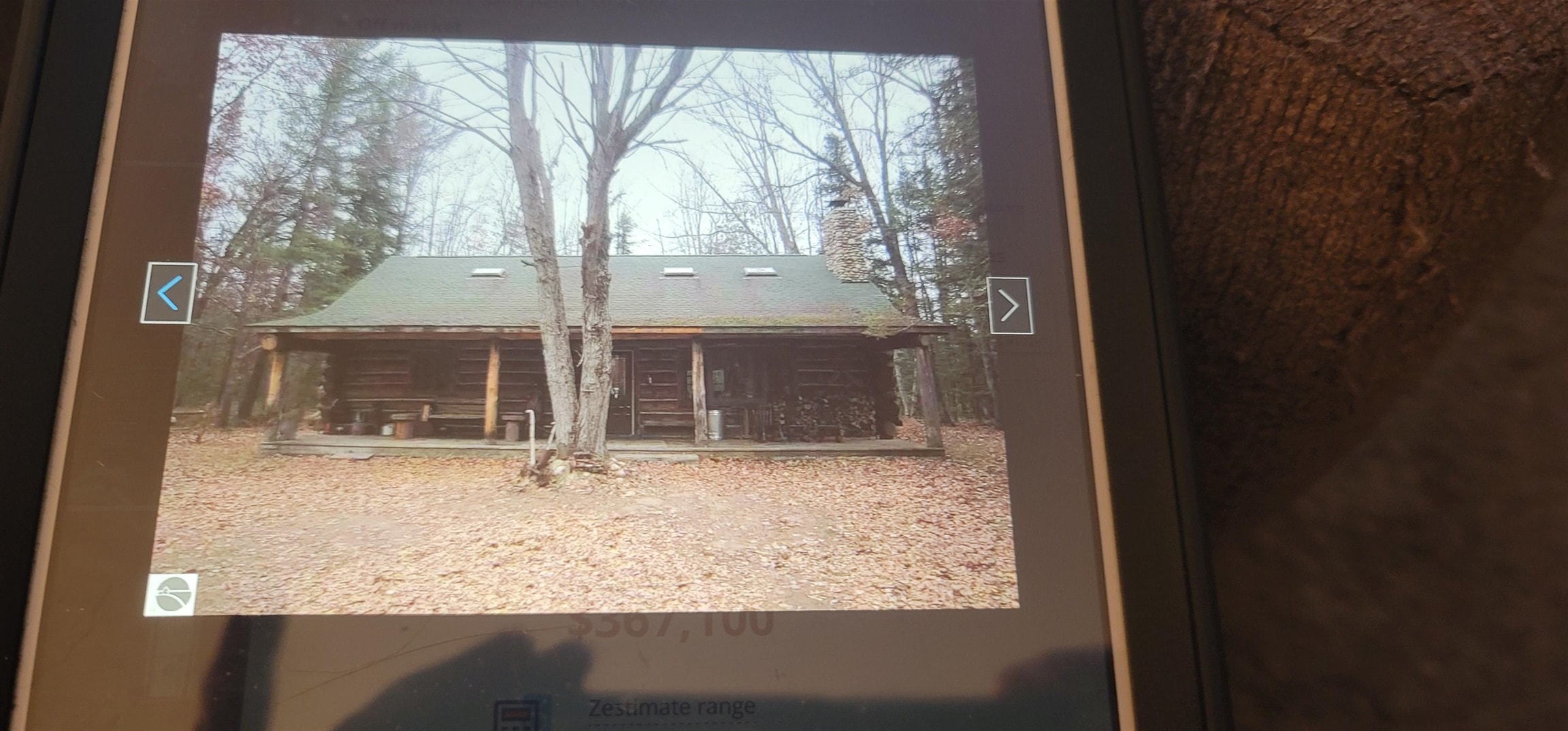 4720 East Nestel Road St. Helen, MI 48656 - Photo 76 of 84