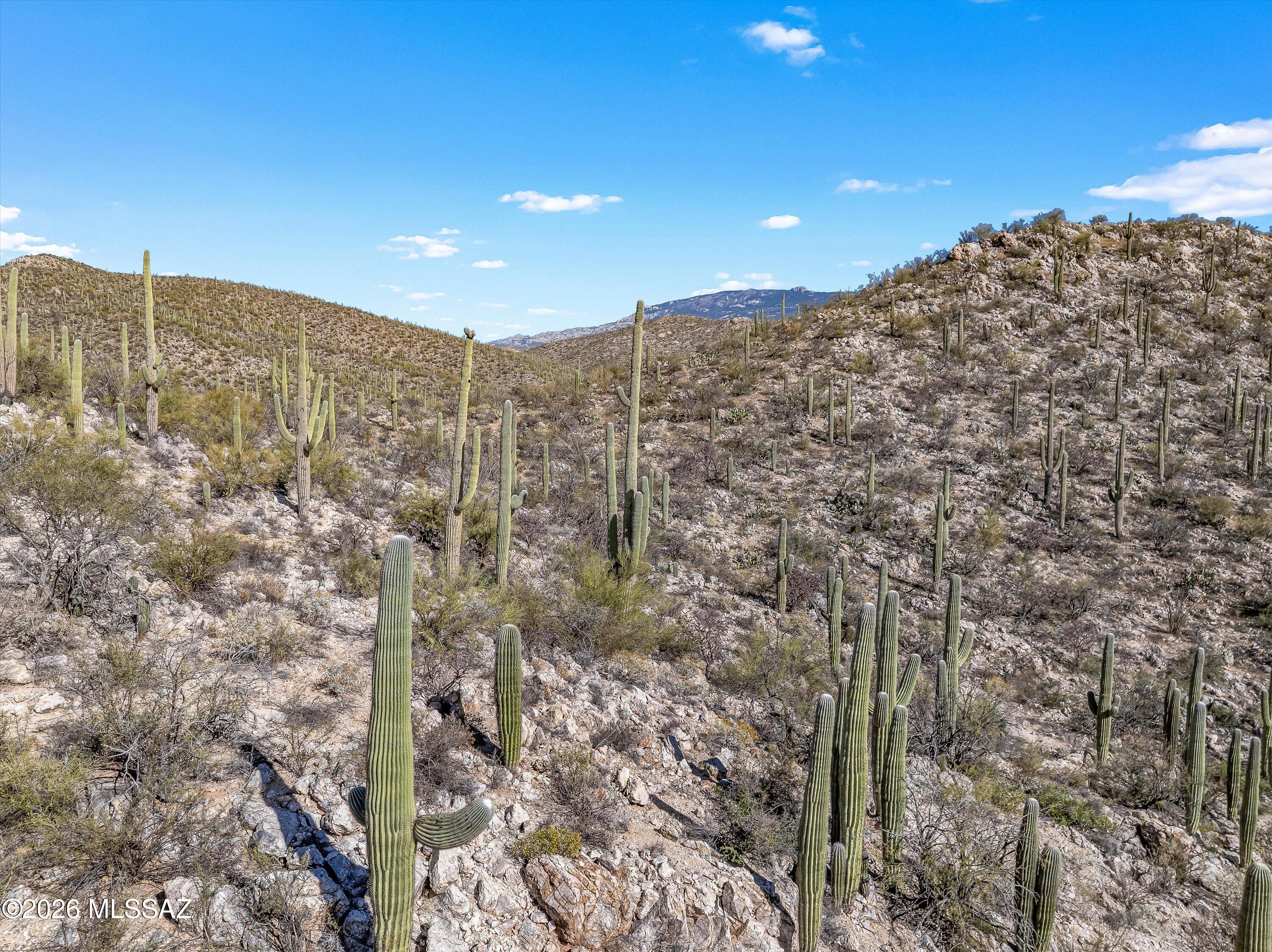 13716 Placita Del Inca, Unit 8 Tucson, AZ 85749 - Photo 29 of 37