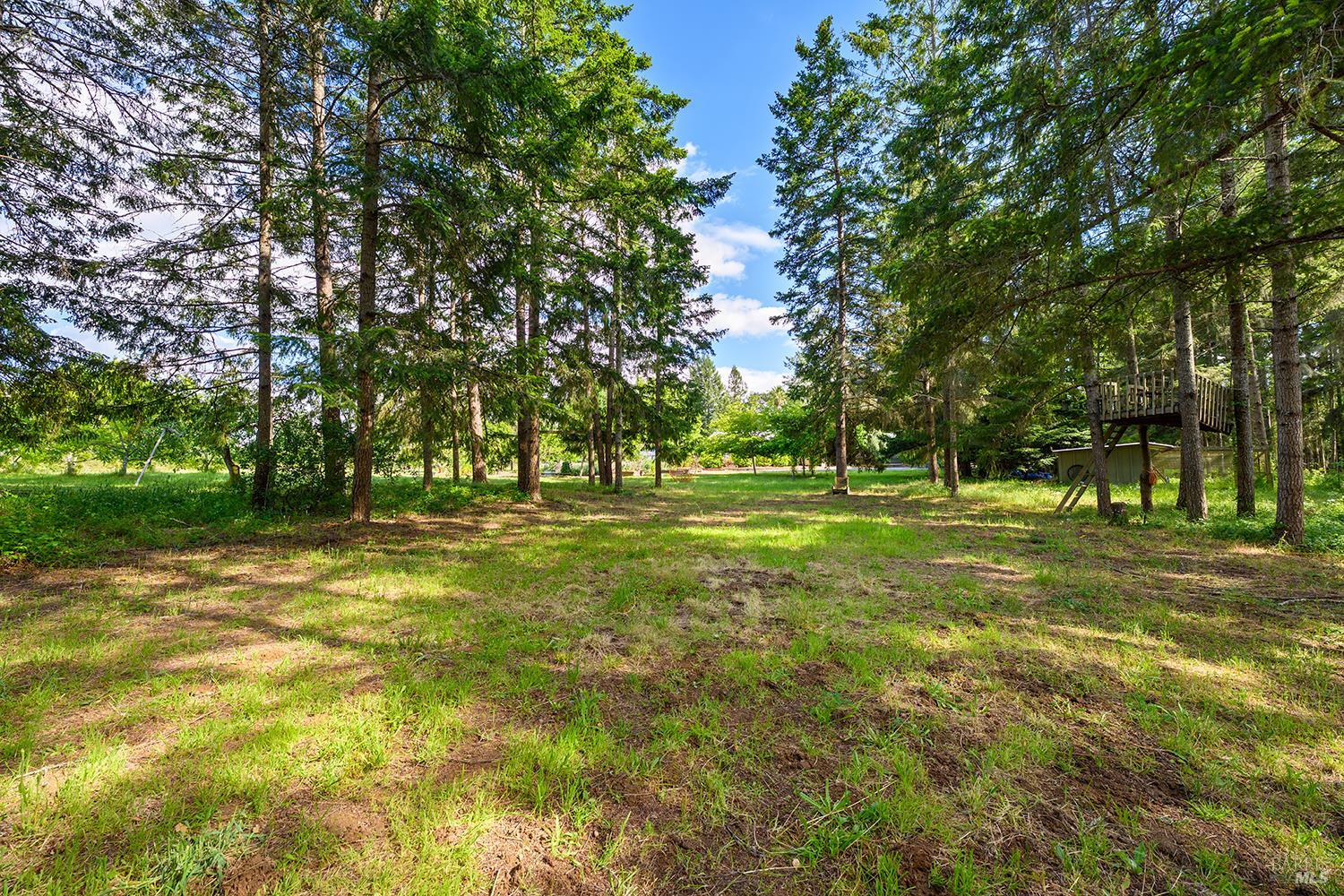 2630 Burnside Road Sebastopol, CA 95472 - Photo 67 of 81
