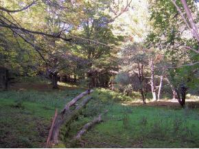 Green Hill Road Danby, VT 05739 - Photo 2 of 4 Gallery Image 2
