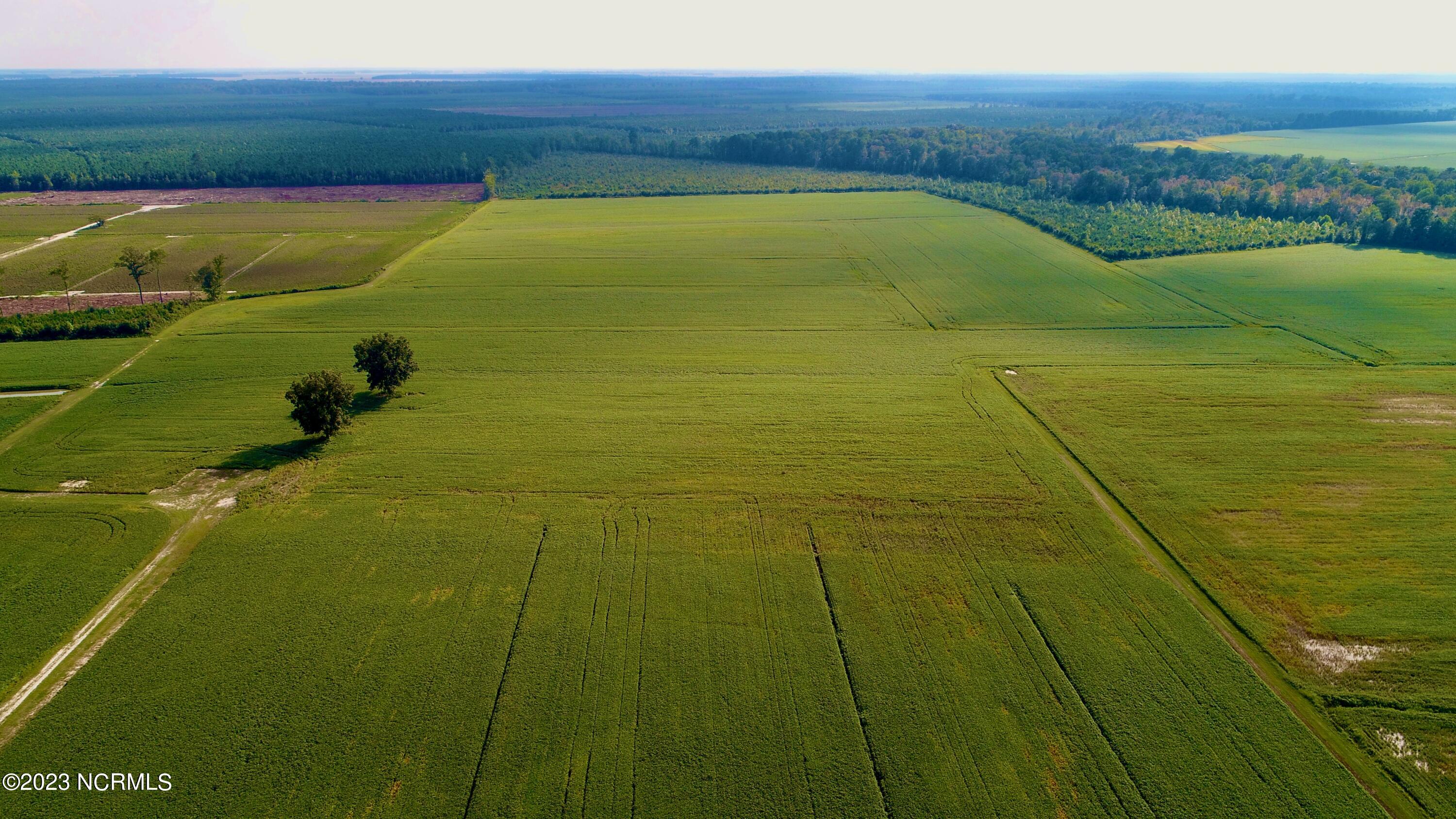 2334 West Millpond Road Roper, NC 27970 - Photo 6 of 52 DJI_0667