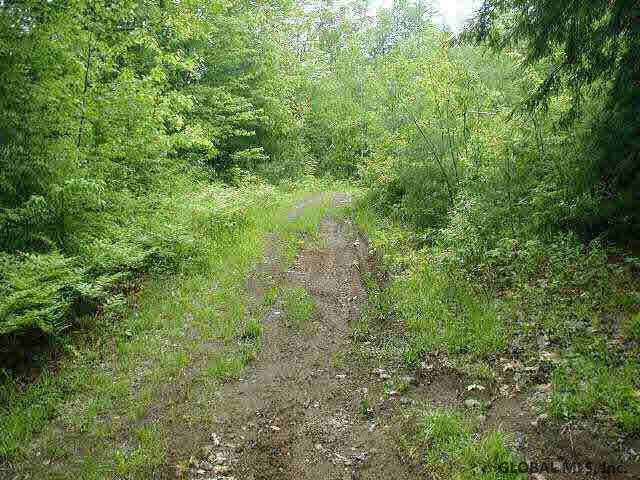 Burbank Road Hopewell Junction, NY 12533 - Photo 1 of 1 Photo 1