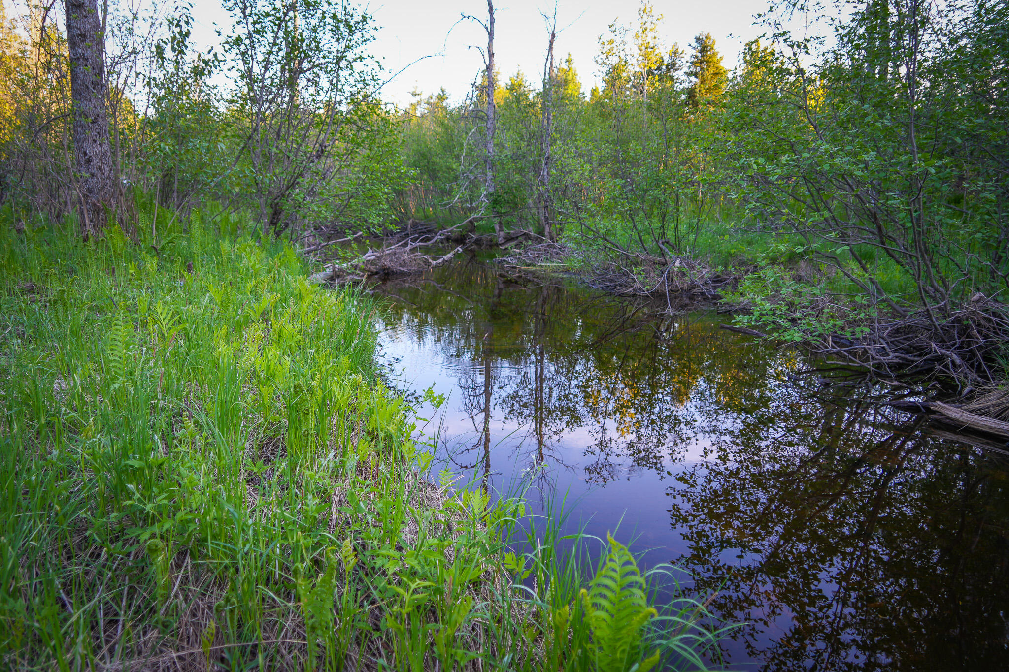 V/l V/l 33rd Road Perkins, MI 49872 - Photo 48 of 70 DSC00078