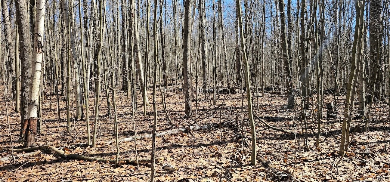 South Hill Road Van Etten, NY 14889 - Photo 18 of 34 Gallery Image 18