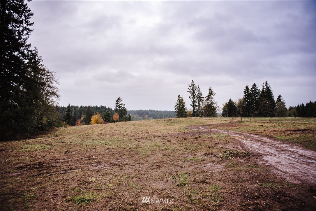 203 Oppelt Road Chehalis, WA 98532 - Photo 2 of 12 Gallery Image 2