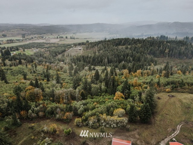 203 Oppelt Road Chehalis, WA 98532 - Photo 7 of 12 Gallery Image 7