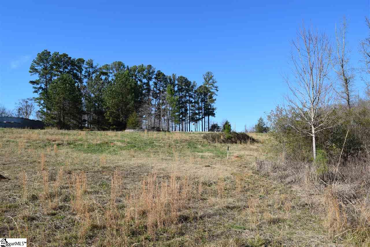 201 Kaplan Koru Place Inman, SC 29349 - Photo 7 of 17