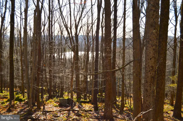 $10,700 | Lot 154 Daisy Drive, Terra Alta, WV 26764