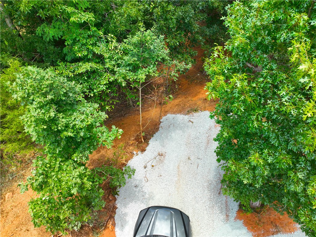 826 Joe Lewis Road Seneca, SC 29678 - Photo 10 of 12