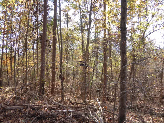 $285,000 | 0 Laurel Avenue, South Pittsburg, TN 37380