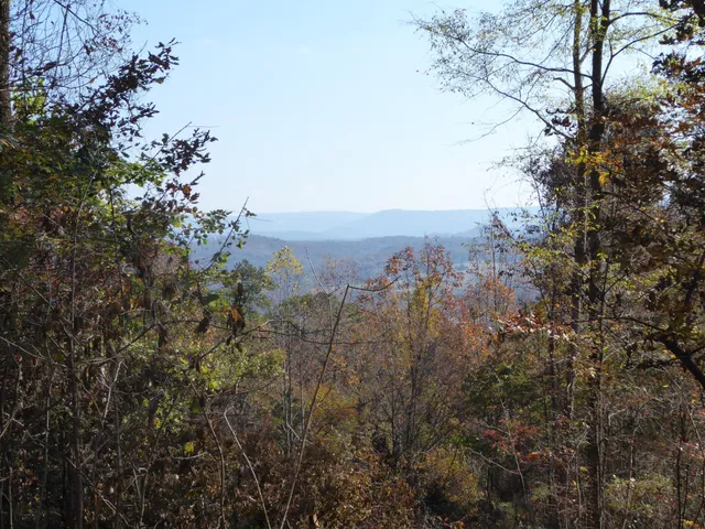 a view of a city with lush green forest