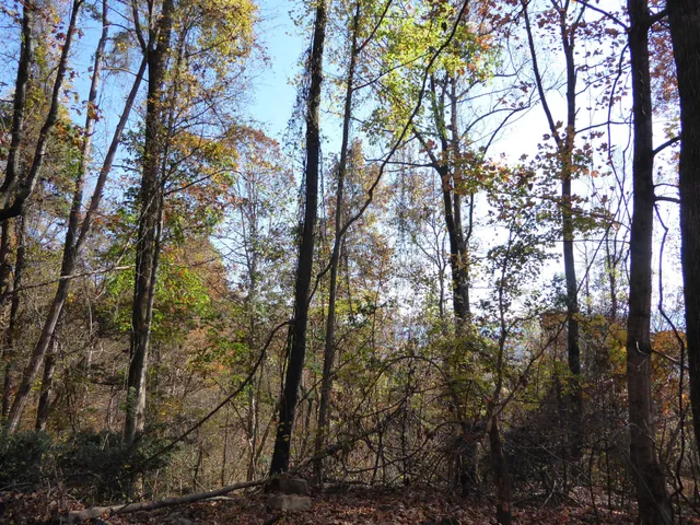 a view of covered with snow