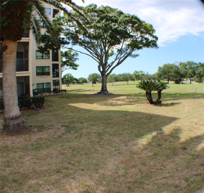 700 Starkey Road, Unit 352 Largo, FL 33771 - Photo 17 of 22