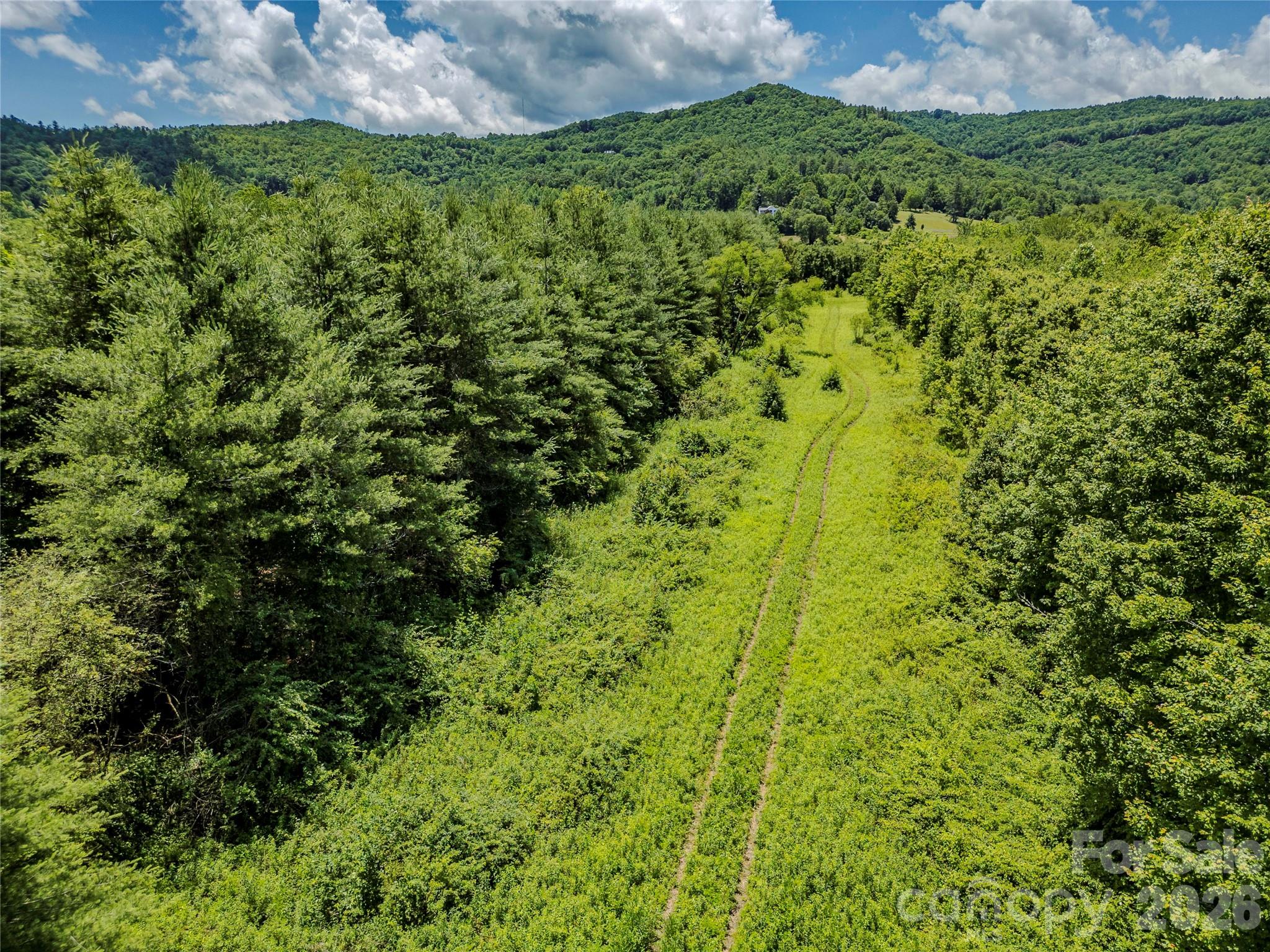 Tbd Canebrake Road Pisgah Forest, NC 28768 - Photo 23 of 43