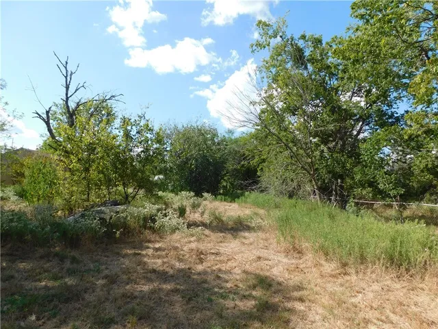 a view of a lush green forest with lots of trees