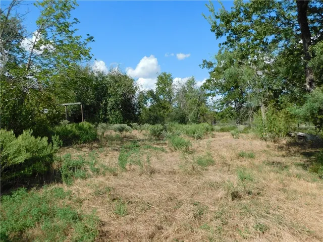 a view of outdoor space and yard