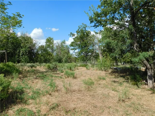 a view of a yard with a tree
