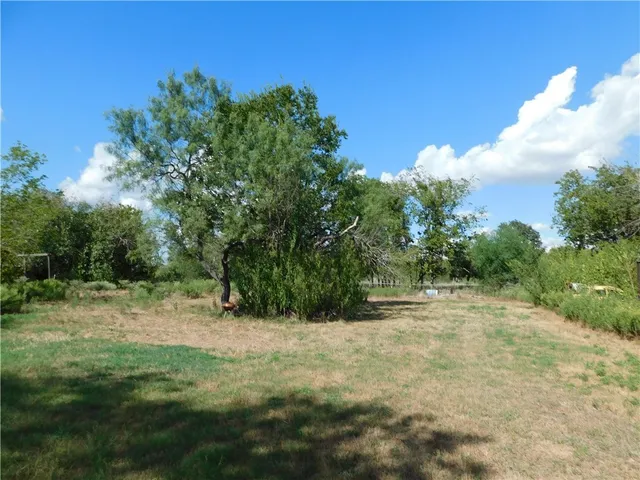 a view of backyard with green space
