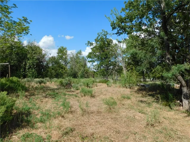 a view of a yard with plants and a tree