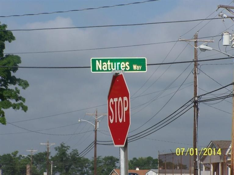 105 Natures Way Road Williamstown, KY 41097 - Photo 7 of 7