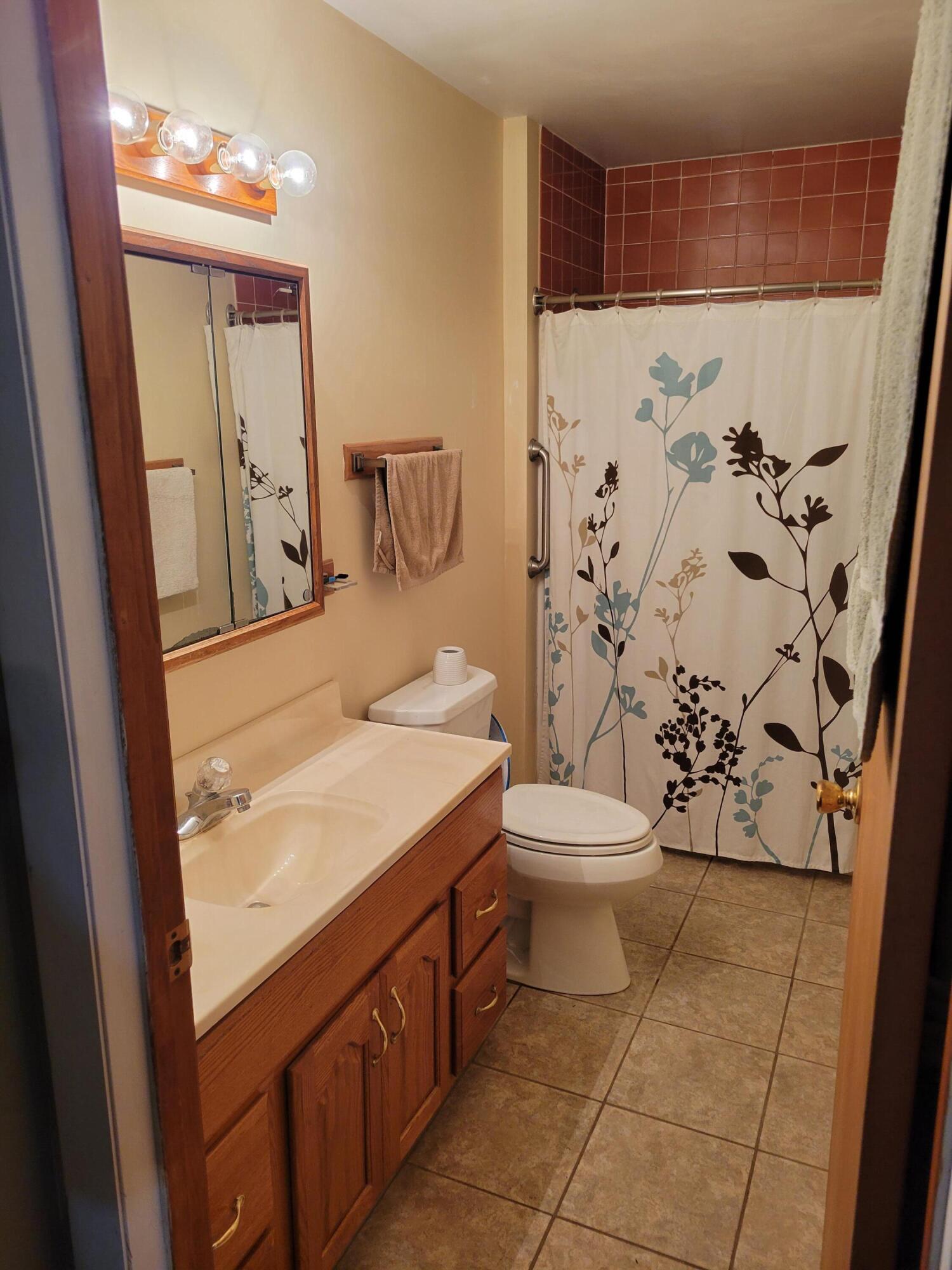 2832 Crestview Avenue Kalamazoo, MI 49006 - Photo 7 of 23 Master Bath