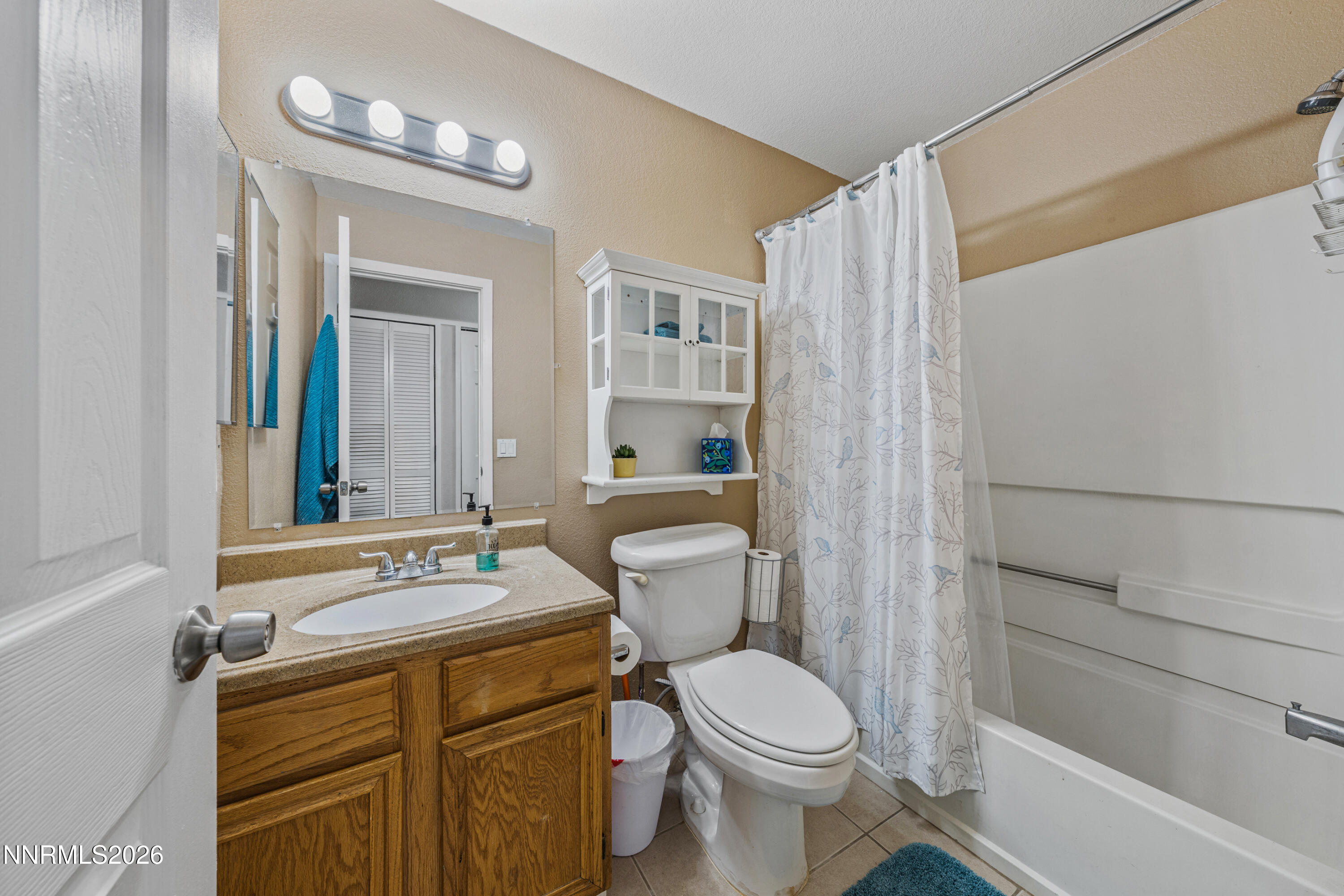 6370 Mono Court Sun Valley, NV 89433 - Photo 10 of 22 a bathroom with a sink a toilet and shower