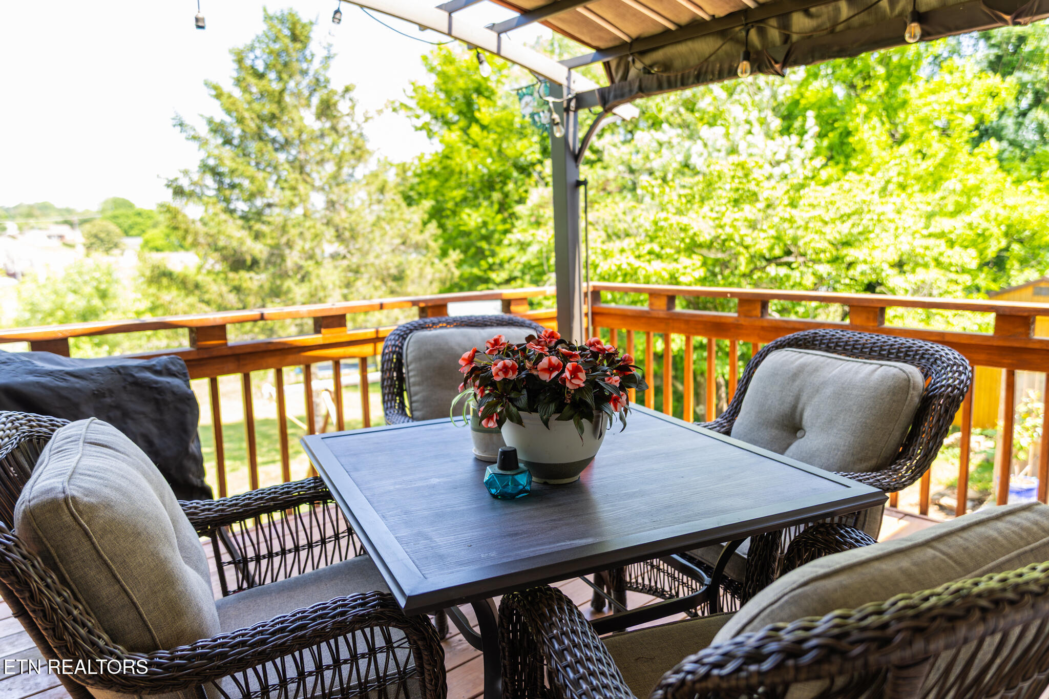 7732 Cranley Road Powell, TN 37849 - Photo 30 of 37 View off of Back Deck