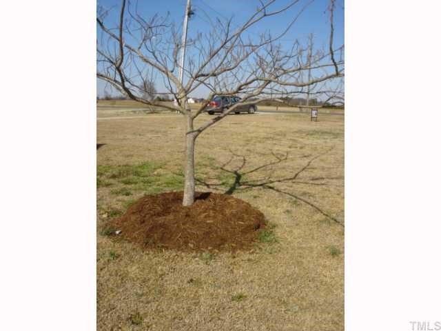 3771 Old Stage Road North Angier, NC 27501 - Photo 10 of 12 Much just placed around trees and bushes