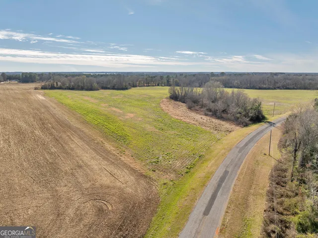 $560,000 | 0 Williams Circle, Unit NORTH TRACK, Elko, GA 31025