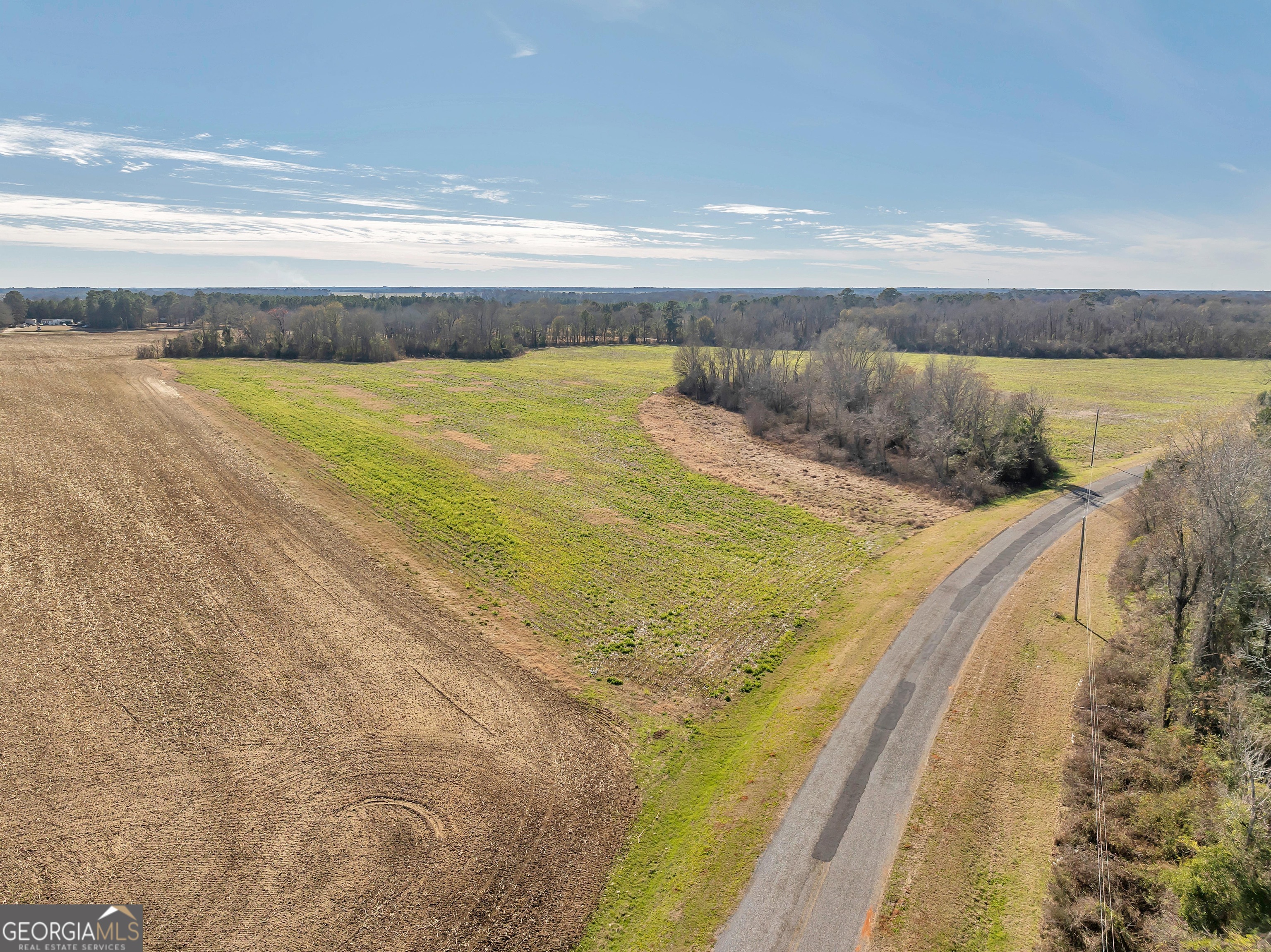 0 Williams Circle, Unit NORTH TRACK Elko, GA 31025 - Photo 12 of 22