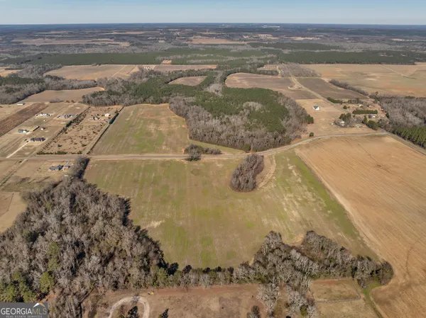$560,000 | 0 Williams Circle, Unit NORTH TRACK, Elko, GA 31025
