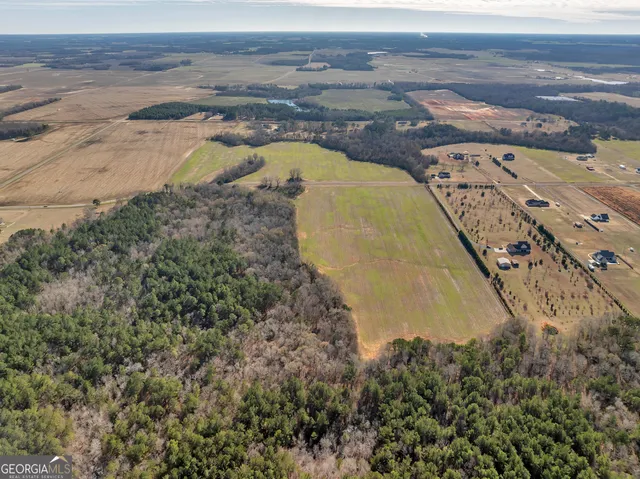 $560,000 | 0 Williams Circle, Unit NORTH TRACK, Elko, GA 31025