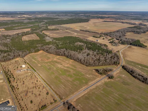 $560,000 | 0 Williams Circle, Unit NORTH TRACK, Elko, GA 31025