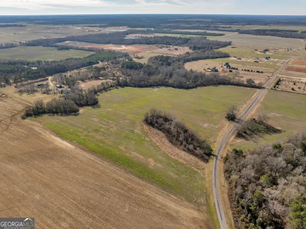 $560,000 | 0 Williams Circle, Unit NORTH TRACK, Elko, GA 31025