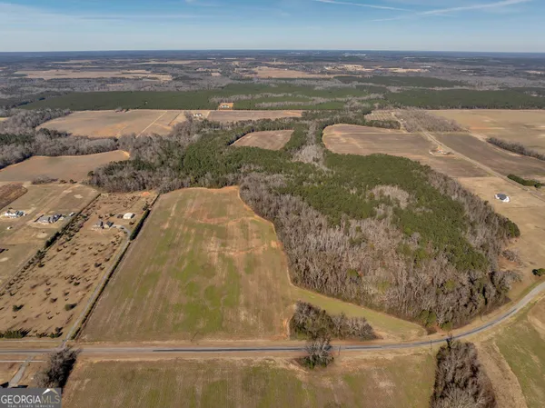 $560,000 | 0 Williams Circle, Unit NORTH TRACK, Elko, GA 31025