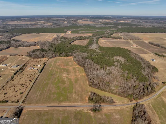 $560,000 | 0 Williams Circle, Unit NORTH TRACK, Elko, GA 31025