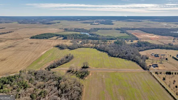 $560,000 | 0 Williams Circle, Unit NORTH TRACK, Elko, GA 31025