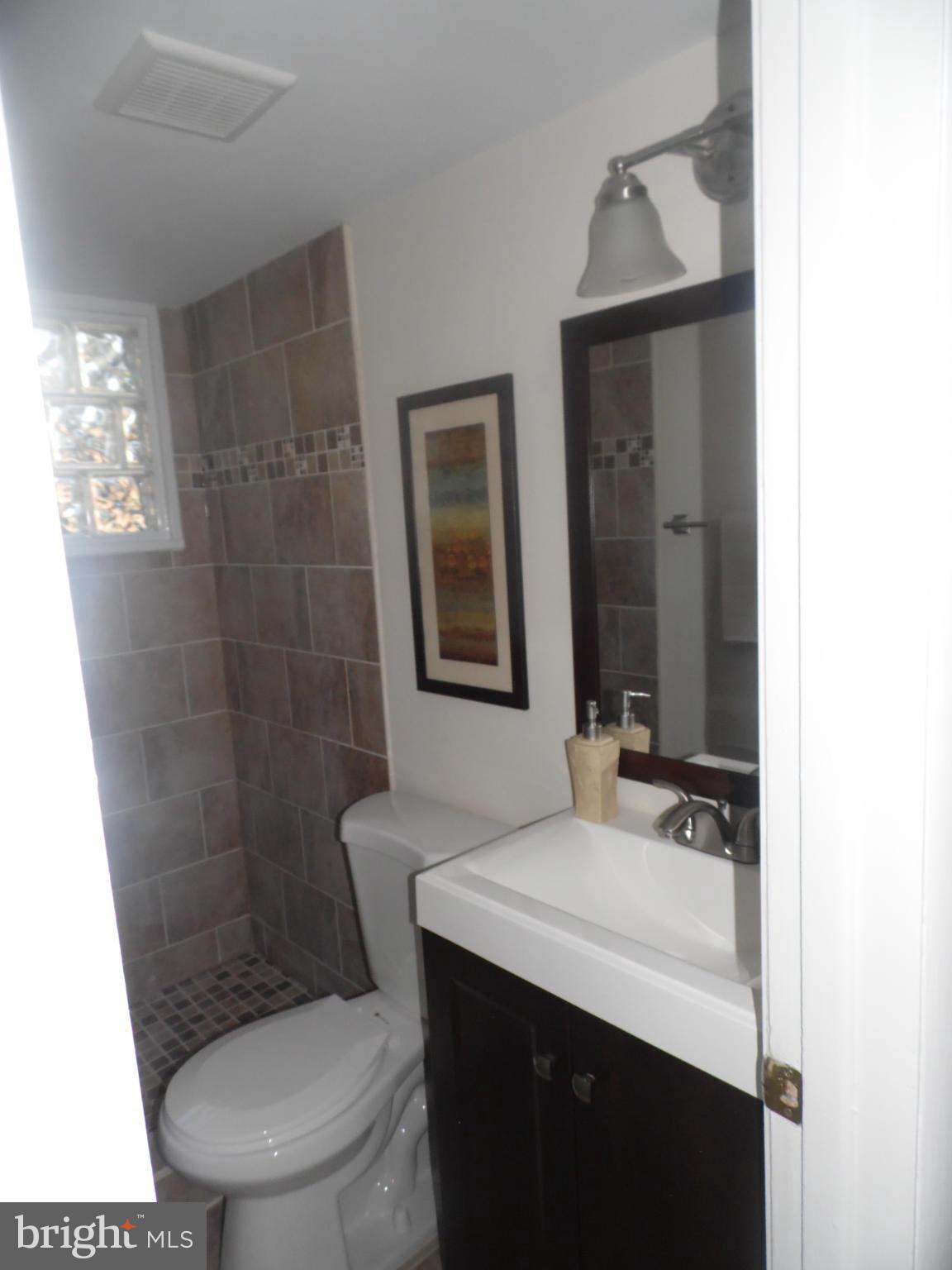 408 Greer Avenue Silver Spring, MD 20901 - Photo 21 of 29 Bath / downstairs