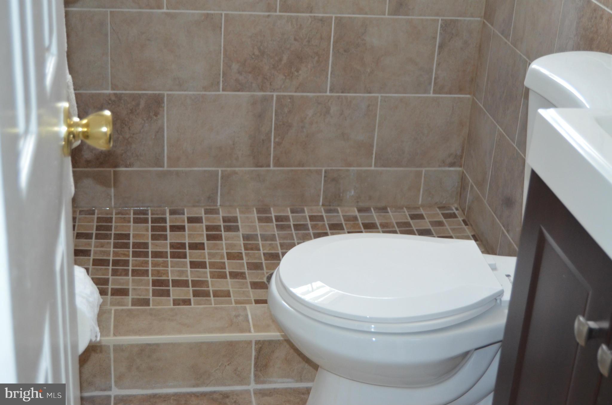 408 Greer Avenue Silver Spring, MD 20901 - Photo 27 of 29 Bath/ downstails