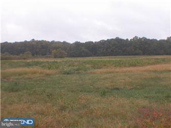 Lot 00 Arthursville Road Hartly, DE 19953 - Photo 1 of 1 View 1