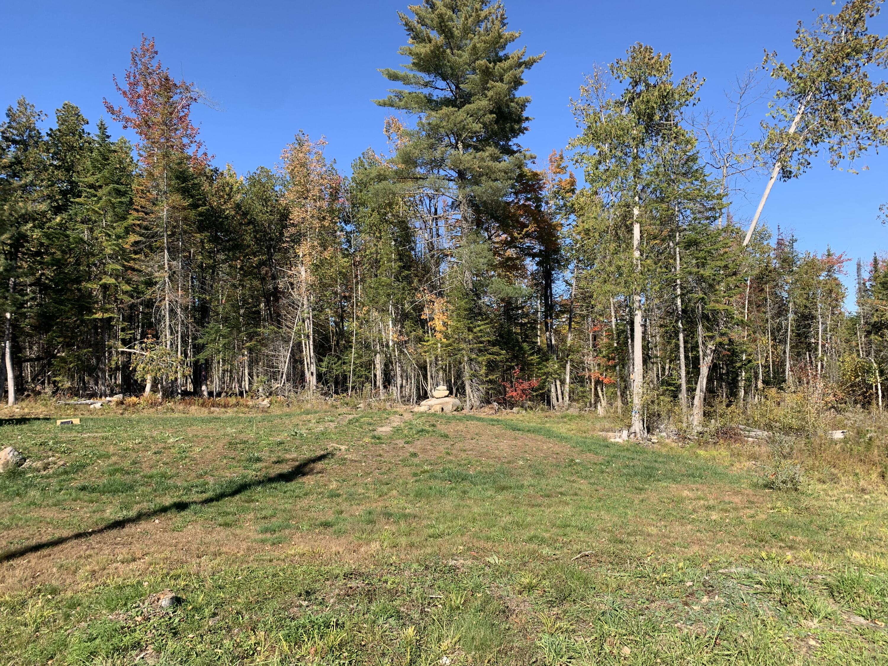 10 Hammond Brook Road Monson, ME 04464 - Photo 7 of 11 Tree Line