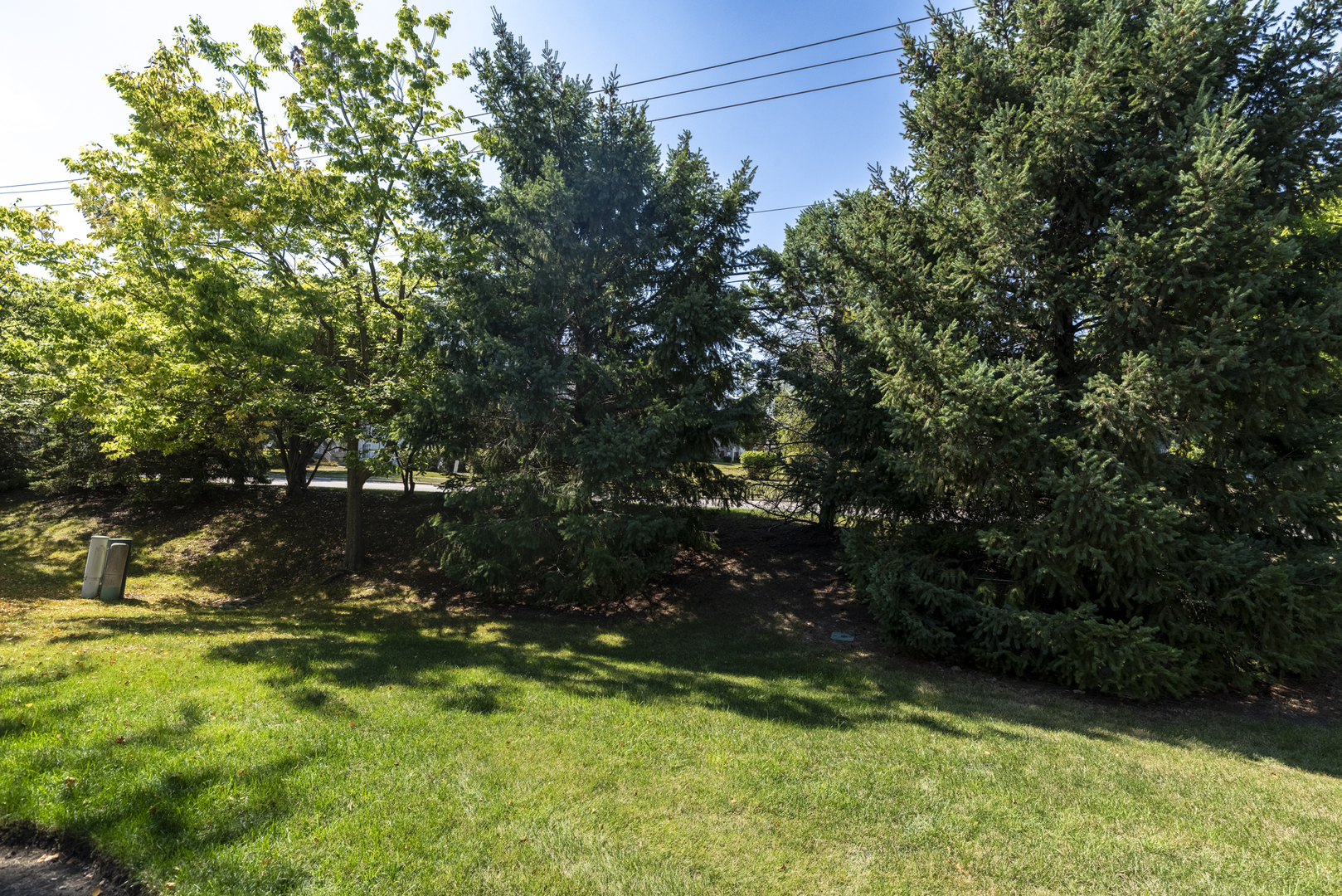 626 South Curran Road Round Lake, IL 60073 - Photo 23 of 25 a view of a garden