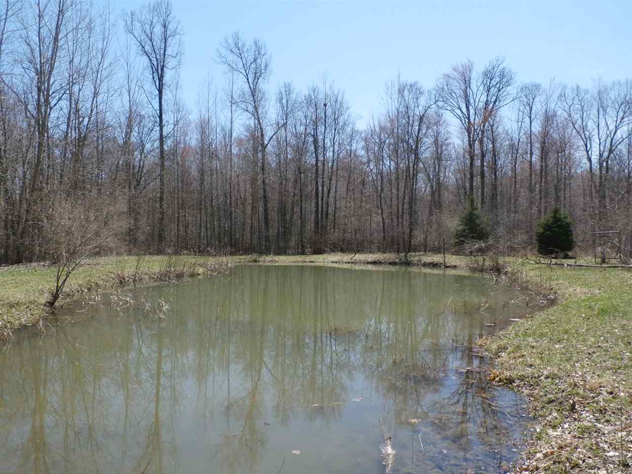 11396 Seymour Road Burt, MI 48417 - Photo 26 of 40 31377233-26.JPG