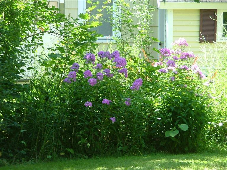 Undisclosed Address Manistee, MI 49660 - Photo 21 of 23 Additional Photo
